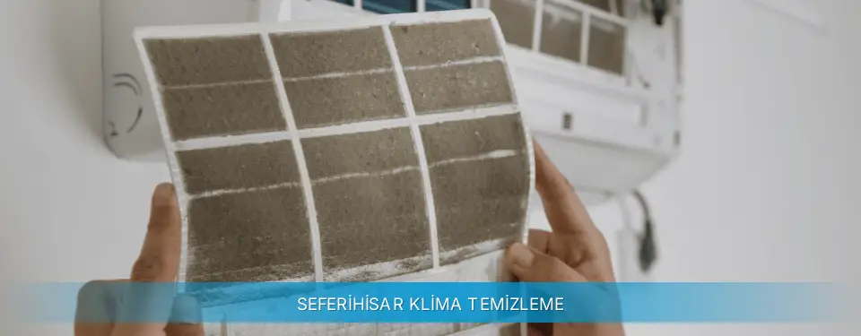 Seferihisar İlçemi Altus Klima Temizleme